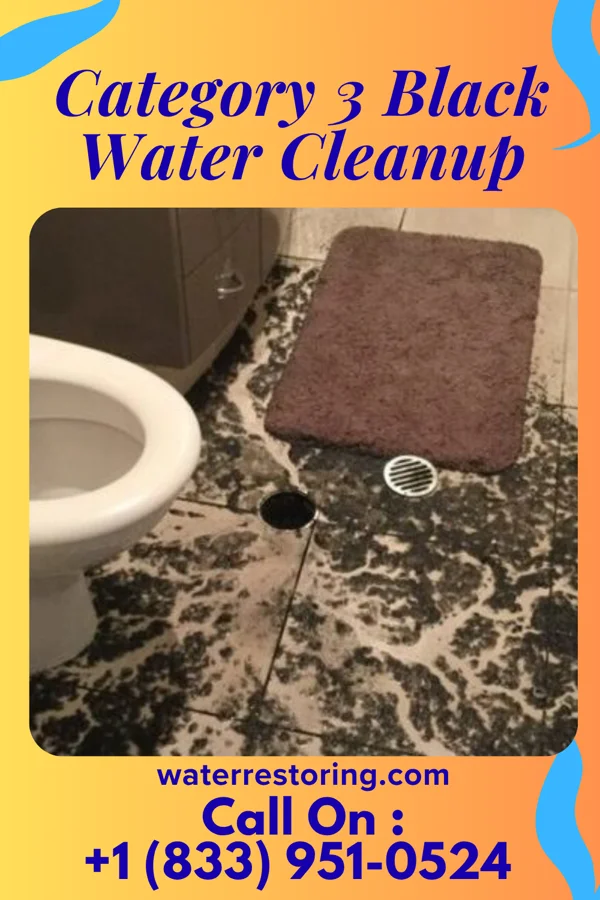 Category 3 Black Water Cleanup in Great Neck Plaza, NY