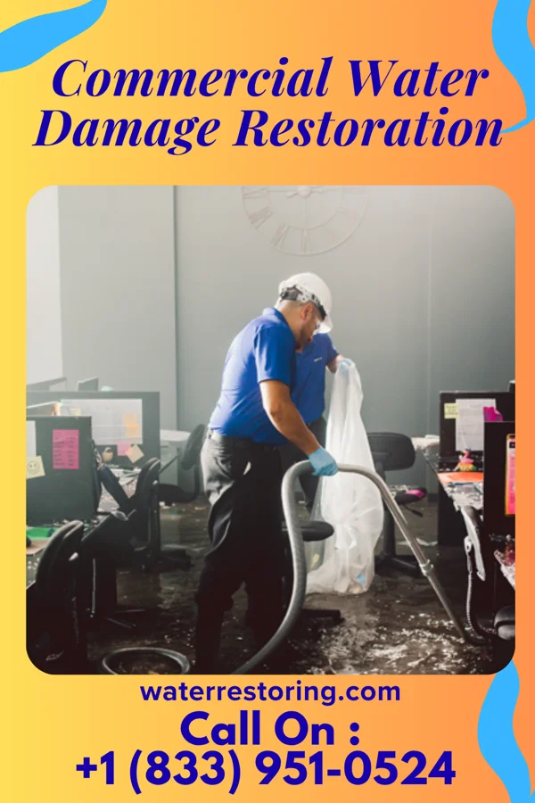 Commercial Water Damage Restoration in Great Neck Plaza, NY