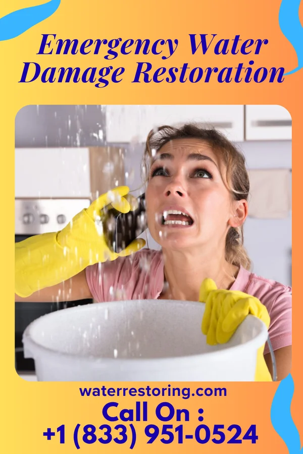 Emergency Water Damage Restoration in Great Neck Plaza, NY