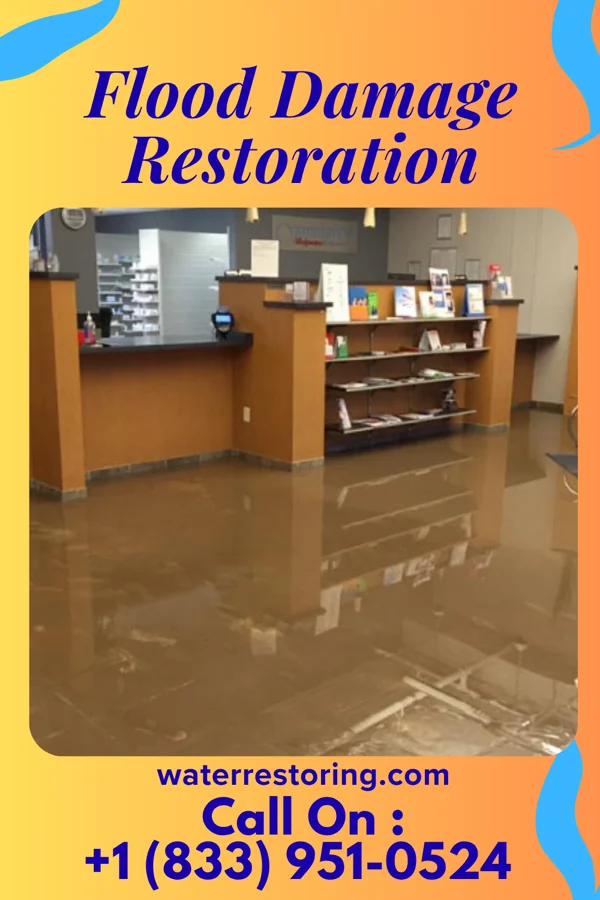 Flood Damage Restoration in Great Neck Plaza, NY