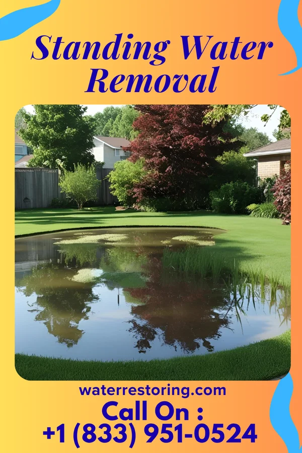 Standing Water Removal in Great Neck Plaza, NY